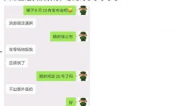 锤子产品最新爆料,颠覆性设计，性能再升级，探索未来智能生活